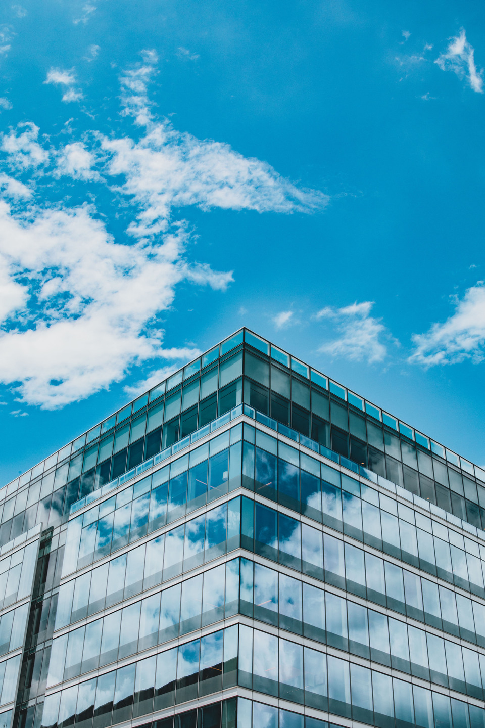 VisionWide 회사소개